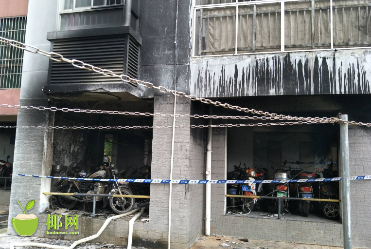 搜索代碼中某一個字段的指令_打工人夢想中的生活，寵物已經(jīng)提前過上了