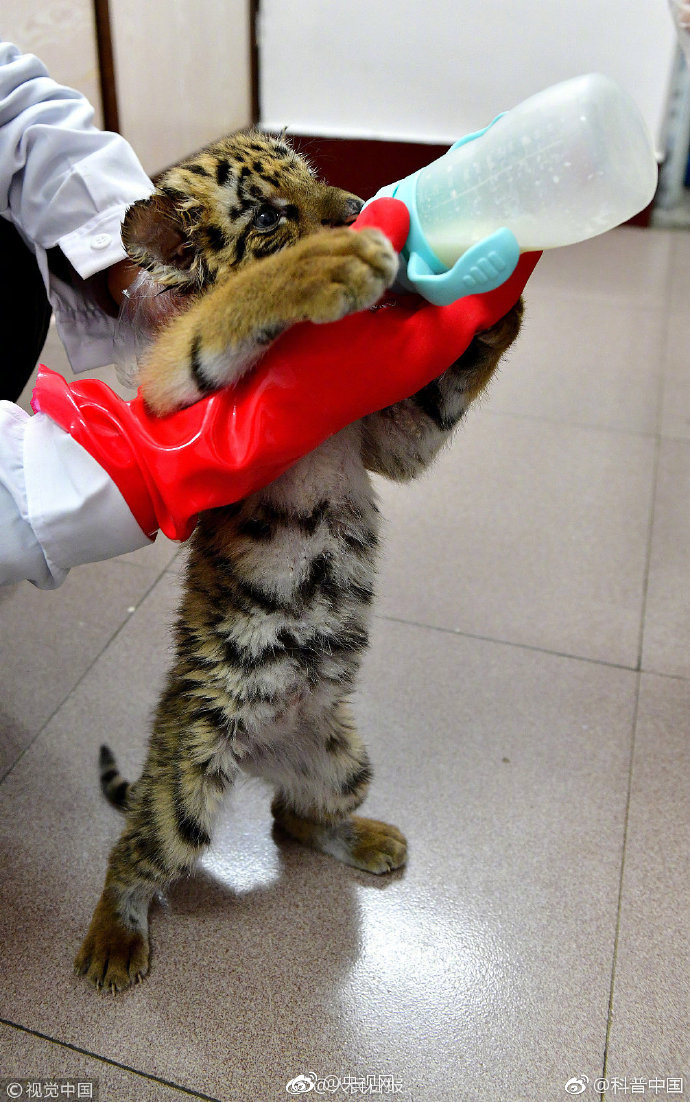 倒賣(mài)景區(qū)門(mén)票怎么處罰_薪酬新規(guī)透視 |?廣發(fā)王明旭7只產(chǎn)品近三年均跑輸基準(zhǔn)