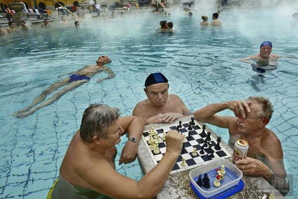 seo博客大全_ChatGPT應用與Python開發(fā)實戰(zhàn)