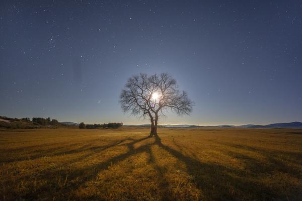 11月國民經(jīng)濟穩(wěn)中有進 這場發(fā)布會上釋放哪些重要信息
