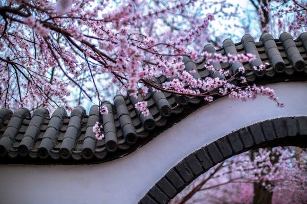 密碼字典生成器_雪山封山期男子違規(guī)進山不幸遇難