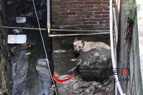 柬埔寨高官：愿立即與泰國舉行?；饡?/></a>
<p><a href=