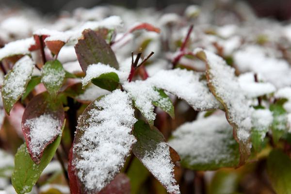 這幾天好多電影網(wǎng)站被強了嗎_如何改善做事的心態(tài)？