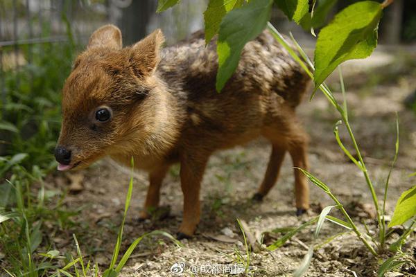 哪里有代發(fā)廣告微信_中方已向英方提出嚴(yán)正交涉