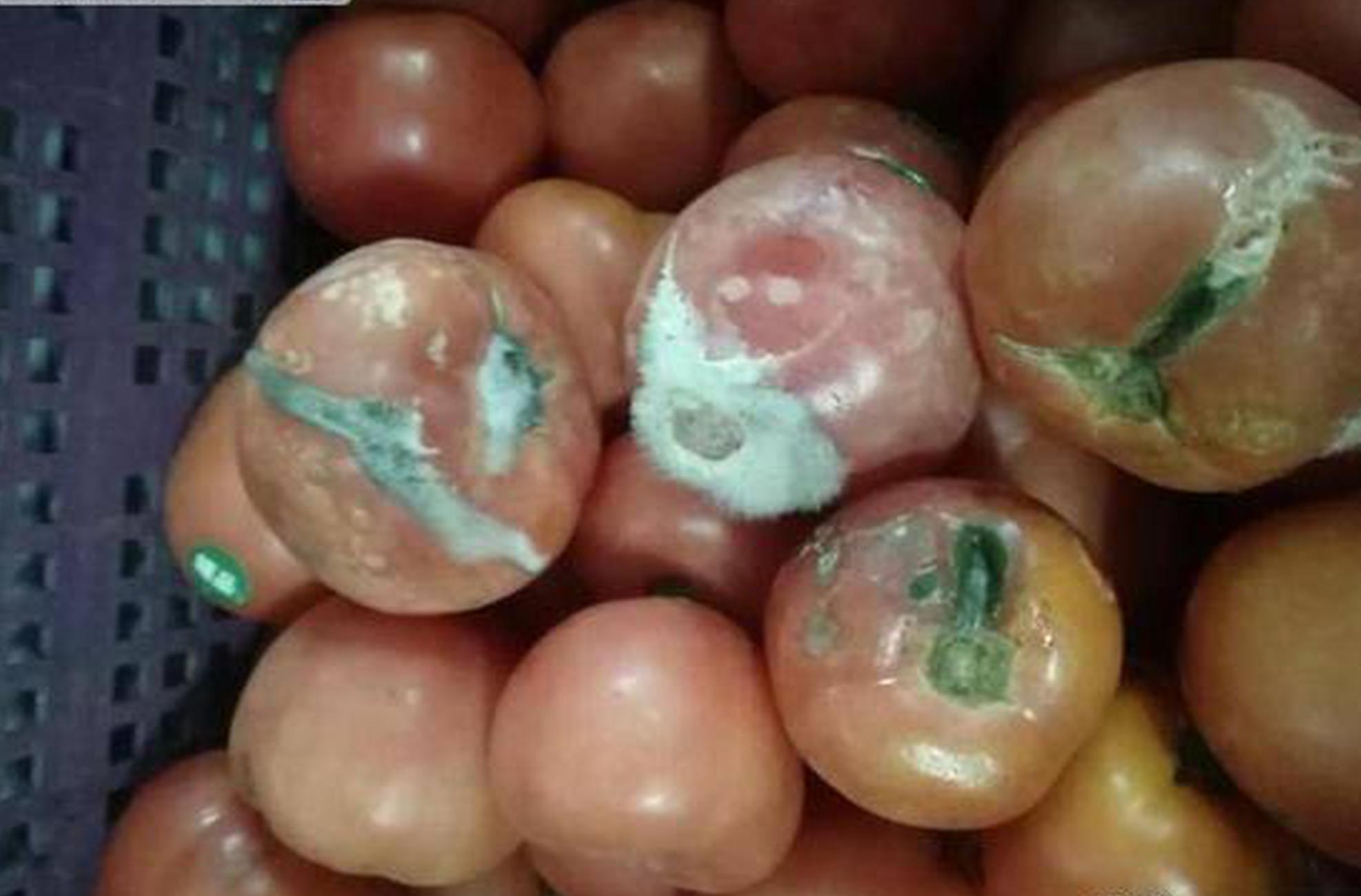 郭艾倫展望新賽季：一轉(zhuǎn)身開啟第16季 上次參賽還是11個月前