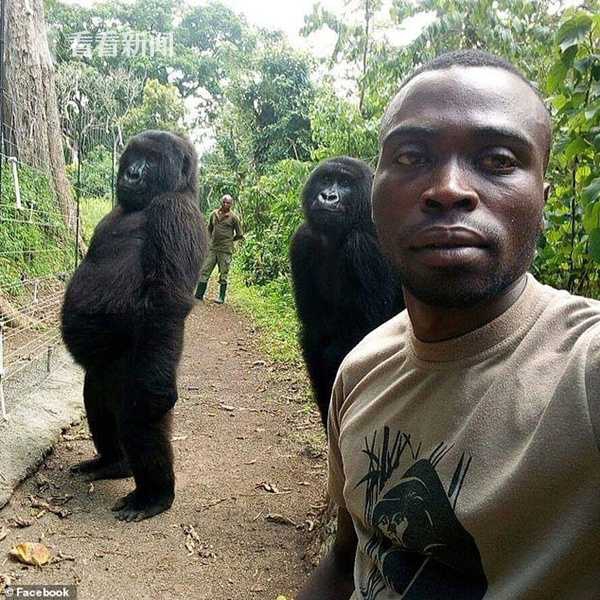 aix topas監(jiān)控腳本_結(jié)合實(shí)際，領(lǐng)會(huì)做好新形勢下經(jīng)濟(jì)工作的規(guī)律性認(rèn)識(shí)