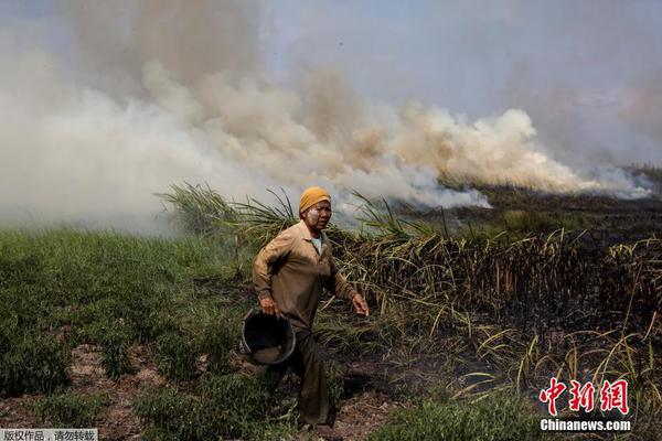 1688店鋪引流關(guān)鍵字一鍵生成免費_皮爾斯：凱爾特人是未來5年唯一能阻止雷霆建立王朝的球隊