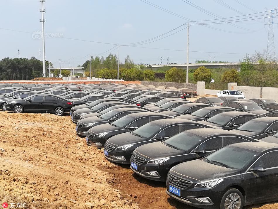 網(wǎng)絡(luò)傳播謠言處罰標(biāo)準(zhǔn)_【GET2025】小葉子&刺猬英語創(chuàng)始人葉濱：AI與游戲化的融合突破