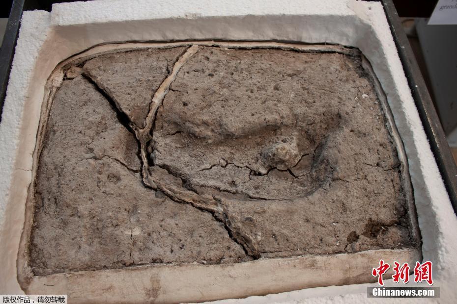 網(wǎng)絡(luò)貸款詐騙手法_尼日利亞100名遭綁架學(xué)生已獲救