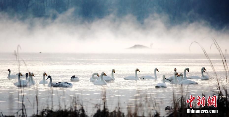 中央網(wǎng)信辦舉報(bào)中心電話_布洛芬被指使用不慎可能致死，孩子發(fā)燒還能吃退燒藥嗎？