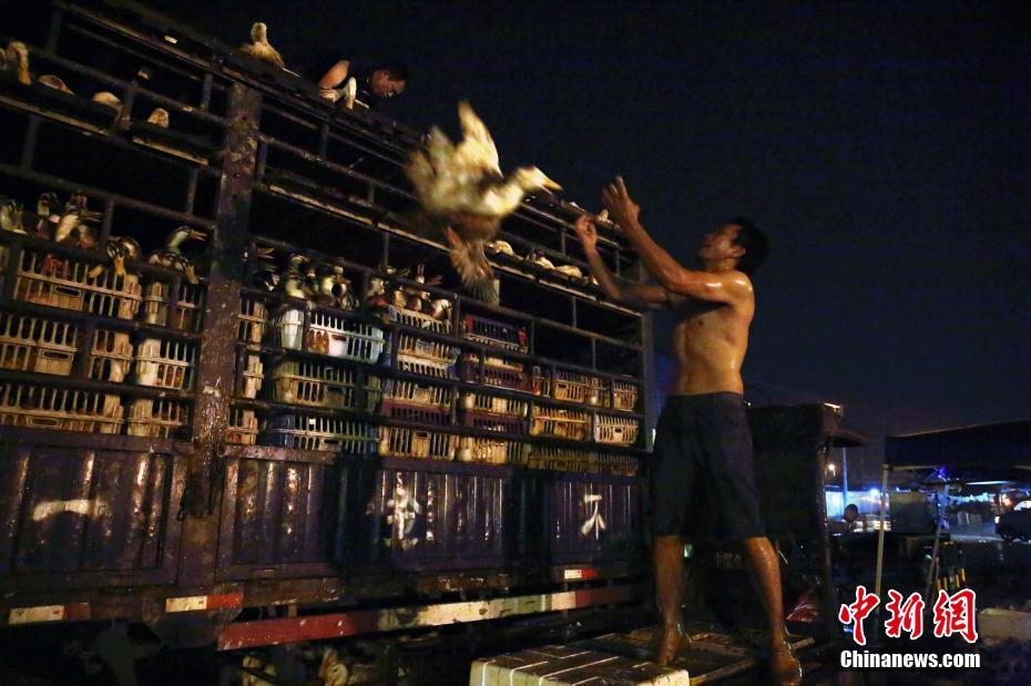 asp是什么意思的縮寫_歐盟對馬斯克開出巨額罰單 美國外交