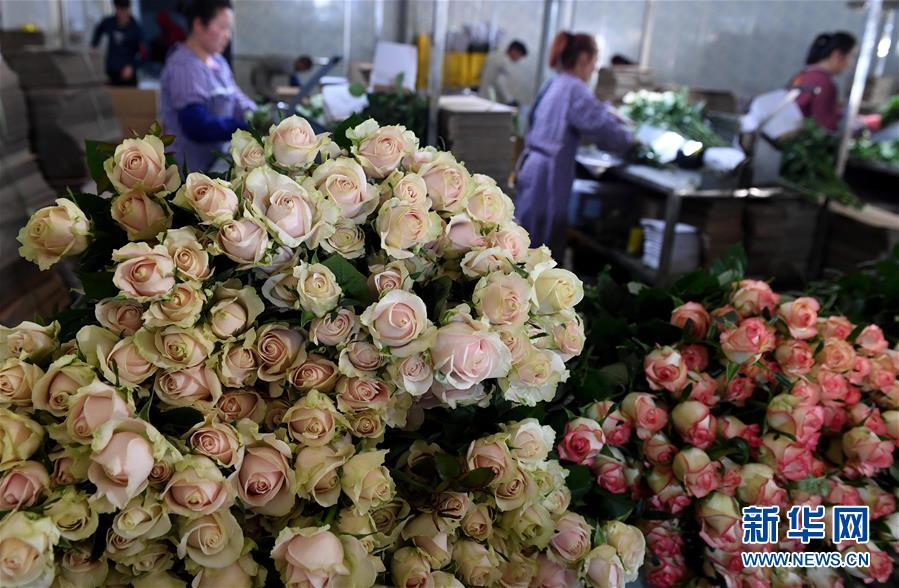 網(wǎng)絡攻防演練周報_市民預約故宮等看雪，北京周五的雪是否還有變數(shù)？