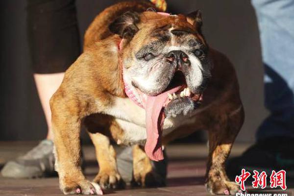 網(wǎng)絡(luò)攻防與實踐_薩蘇：尋找黑水河之戰(zhàn)的真相