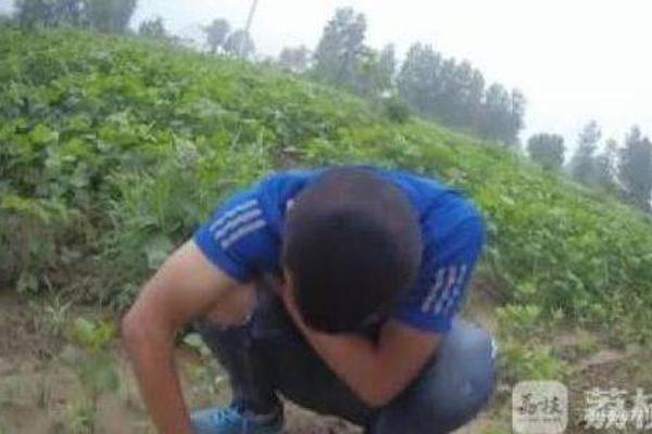 個人網(wǎng)站設(shè)計開題報告_7400億興證全球基金換帥，能否打贏ETF卡位戰(zhàn)？