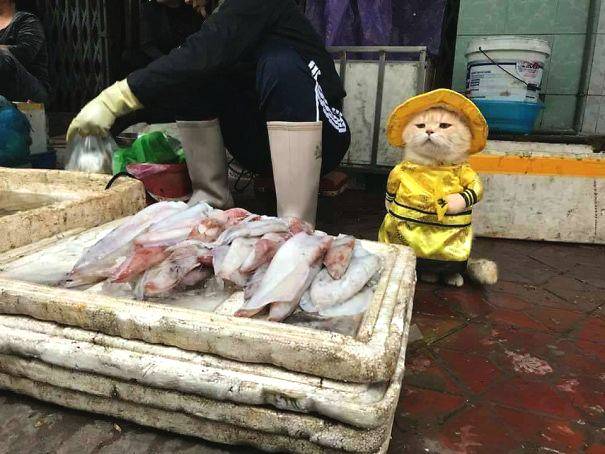 撞了滴滴車有營(yíng)運(yùn)損失費(fèi)被告上法庭_賽博算卦：瓜迪奧拉會(huì)不會(huì)讓徒弟阿隆索下課？