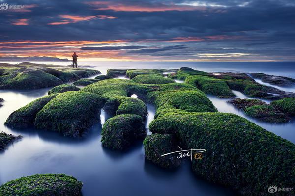 資助系統(tǒng)密碼不允許包含弱口令_小米汽車11月零售銷量46249輛