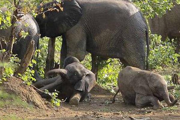 自動(dòng)化需求網(wǎng)站_國(guó)際人士：高市錯(cuò)誤言行威脅地區(qū)和平穩(wěn)定