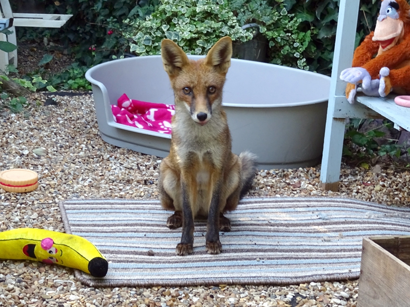 cdn內(nèi)容分發(fā)網(wǎng)絡(luò)正規(guī)嗎_護(hù)理流感兒童這些錯誤不能犯