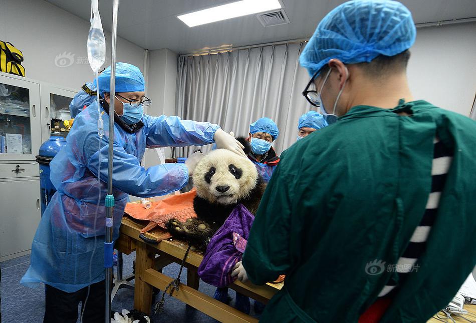 thinkphp60完全開發(fā)手冊_華誼兄弟：公司債務(wù)逾期5250萬元，擬逐步退出和處置部分資產(chǎn)