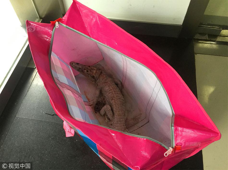 網(wǎng)站解析ip查詢_別讓校園App“擠爆”手機(jī)