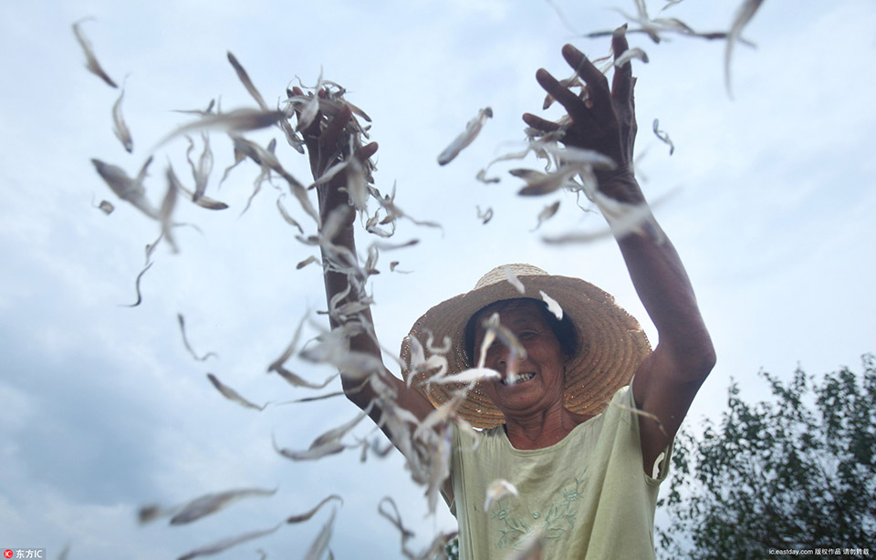 國防安全日_卸任前幾個月榮昌