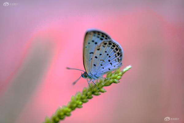 國防安全日_卸任前幾個月榮昌