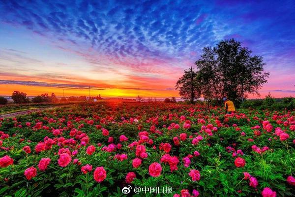 國內(nèi)小說搬運國外真的賺錢嗎_中央經(jīng)濟(jì)工作會議釋放哪些重要信號