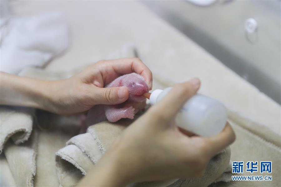 注冊資本30億元 多晶硅“收儲平臺”來了