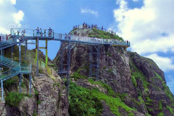 網(wǎng)站下載神器_香港故事丨守護共同記憶——香港百歲古樹“扶正”記