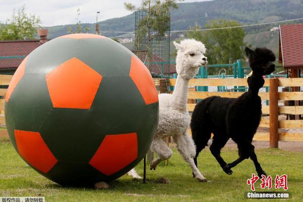 蘋果id國外賬號(hào)購買_85%的人遭遇過背痛 8項(xiàng)無器械練習(xí)可緩解