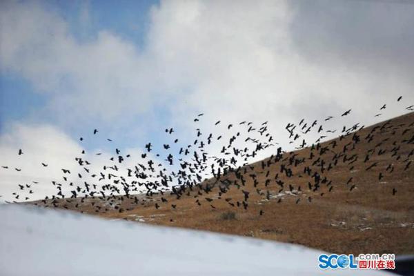 蘋果手機瀏覽不良網站會被監(jiān)控嗎_NASA準局長稱要在中國前重返月球 中方:無意搞太空競賽