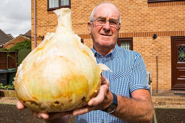 海外cvv源碼_馬斯克放話：三周內(nèi)撤掉奧斯汀特斯拉Robotaxi的安全監(jiān)督員