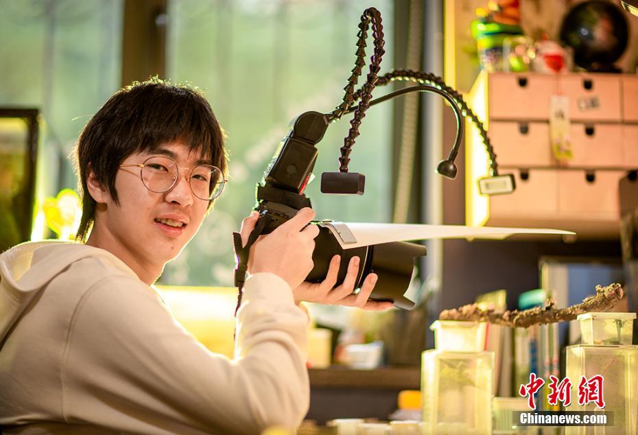 html測(cè)試網(wǎng)頁(yè)_溫州龍灣掛牌一宗宅地 起價(jià)4.03億元