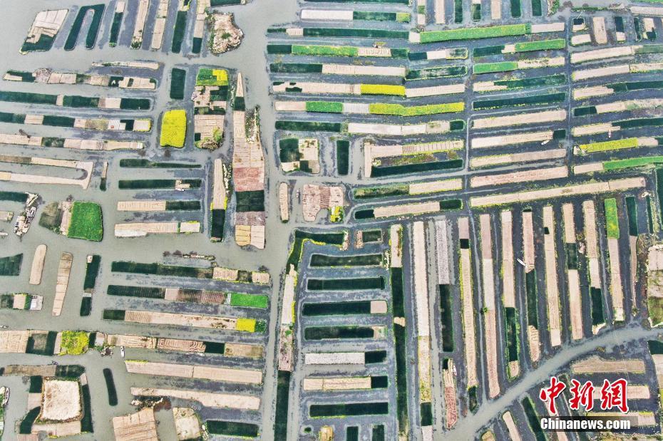 個(gè)人兼職違法嗎_百度回應(yīng)昆侖芯分拆上市傳聞：評(píng)估中 不保證最終落地