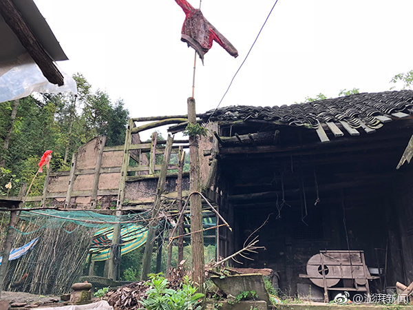 中小學(xué)如何開(kāi)展網(wǎng)絡(luò)空間利用_歐冠意甲戰(zhàn)況：亞特蘭大6輪13分高居第3 國(guó)米12分第5