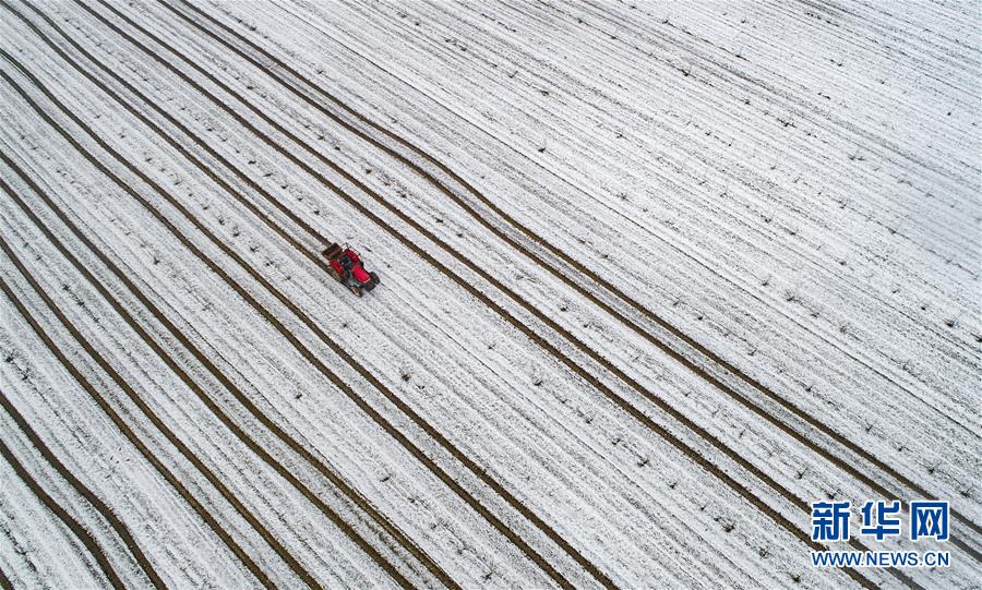 2024年計(jì)算機(jī)泄密案例分析最新_監(jiān)拍兩男子騎摩托車用麻藥吹管偷狗 被狗主人抓現(xiàn)行