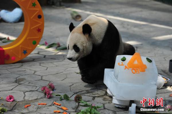 windows文件加密破解_【男式雙肩包】32功能區(qū)格，商務(wù)出行方便好用！