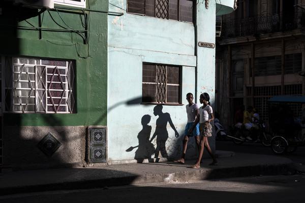 華三交換機(jī)多個(gè)vlan啟用dhcp_女子奔潰報(bào)警！自己養(yǎng)的9000塊錢寵物雞，被人偷去下鍋！