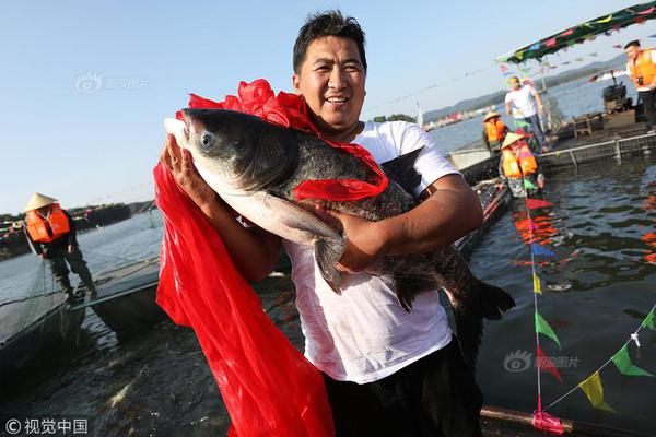 任意文件讀取漏洞的cve編號(hào)_打工人夢(mèng)想中的生活，寵物已經(jīng)提前過上了