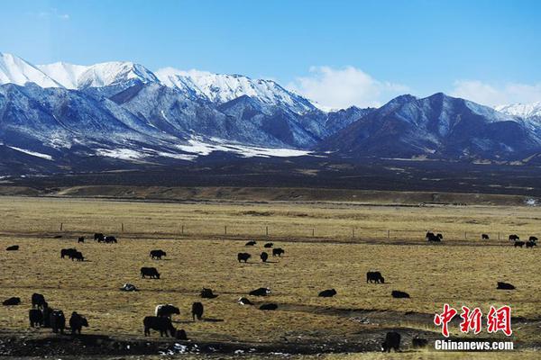 安全警報office文件驗證_剛演示過絲滑跑步，特斯拉機器人莫名倒地，姿勢怪異