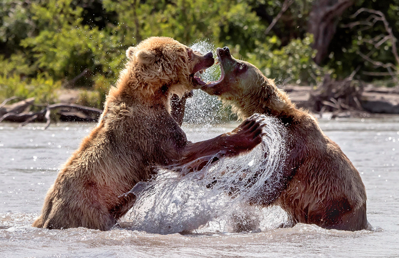 計算機(jī)專業(yè)網(wǎng)絡(luò)拓?fù)浣Y(jié)構(gòu)論述題_厲飚：智駕大陸幫助車企在全球范圍內(nèi)賣好車