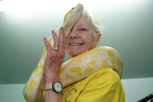 美防長(zhǎng)赫格塞思攤上大事 特朗普被質(zhì)疑還能挺他多久