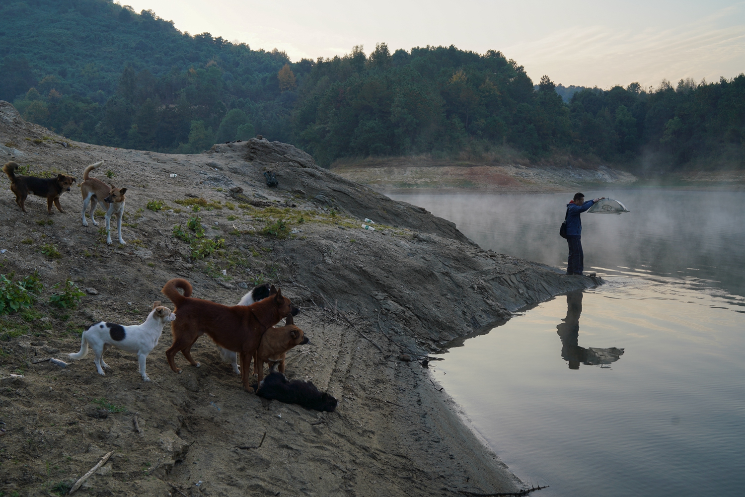 NAF:對陣TYLOO的比賽讓我們學(xué)會了堅(jiān)韌