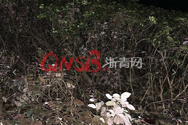 學(xué)校提前開(kāi)學(xué)違法嗎怎么舉報(bào)_寒潮來(lái)襲 “速凍”模式如何應(yīng)對(duì)