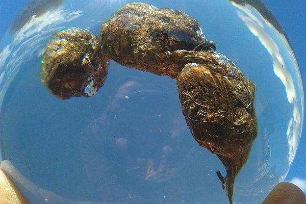 pbootcms管理中心忘記用戶名和密碼_他把云山霧海畫(huà)活了，堪稱(chēng)一絕！