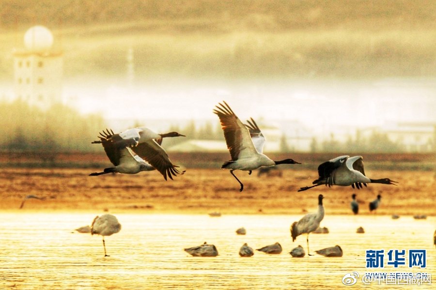 驗(yàn)證碼發(fā)送平臺(tái)免費(fèi)_娃得了手足口病咋辦？中疾控提示