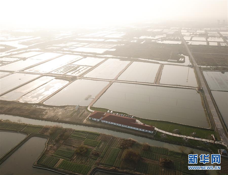 絕對色感測試網站_洪欣為何屢屢遇上渣男