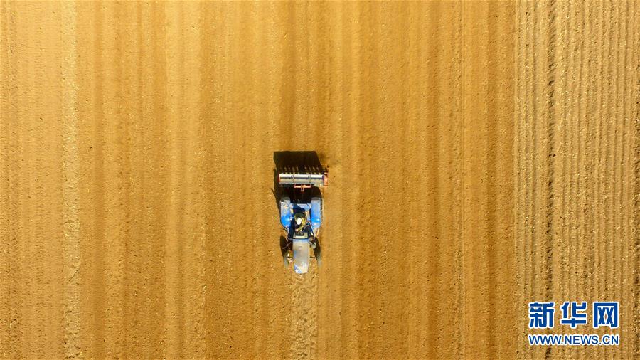 SpaceX目標估值超特斯拉！