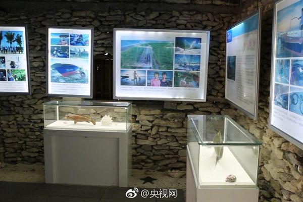 銀行投訴電話95519厲害還是12378管用_在山東，深海還能這么玩