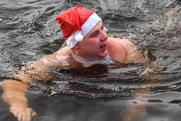 快遞網(wǎng)絡(luò)安全責(zé)任書范文_打工人夢(mèng)想中的生活，寵物已經(jīng)提前過上了